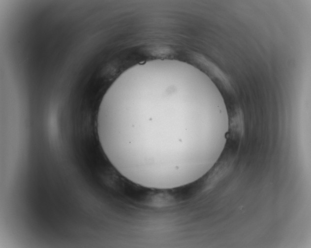 X0000102300572200808081547