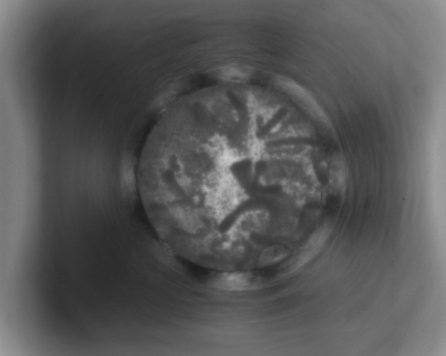 X0000102300573200808081547