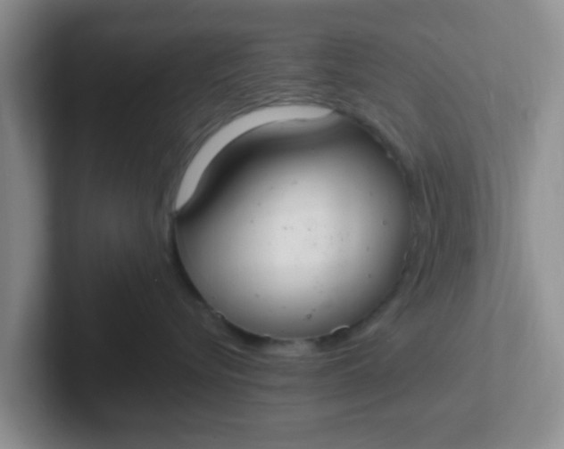 X0000102300576200808081547