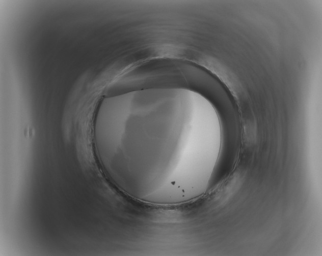 X0000102300577200808081546