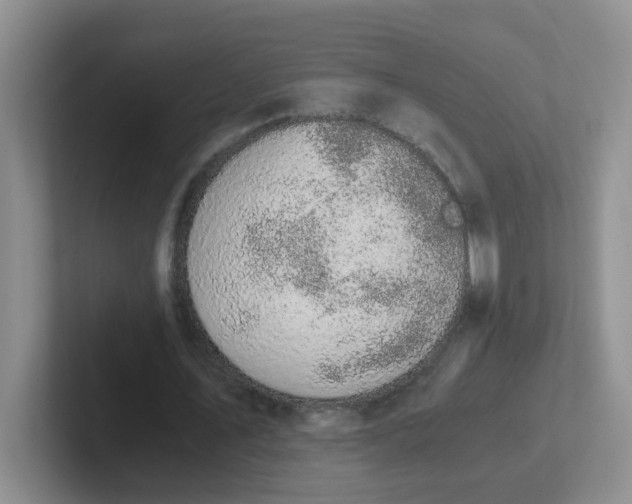 X0000102300579200808081546