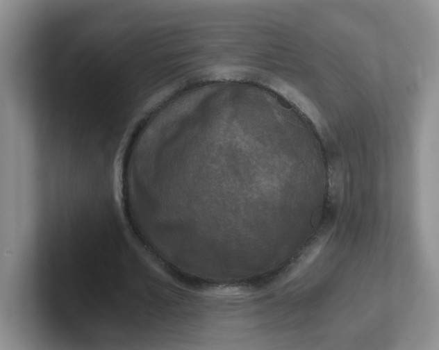 X0000102300581200808081546