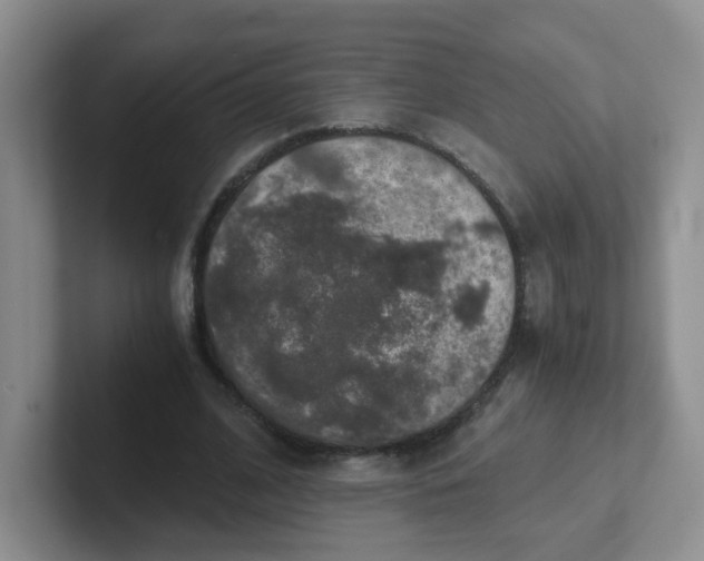 X0000102300584200808081546