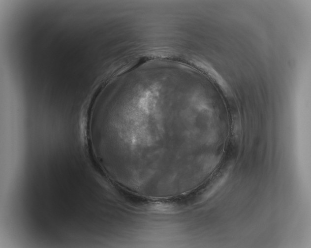 X0000102300585200808081546