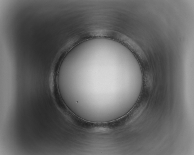 X0000102300586200808081546