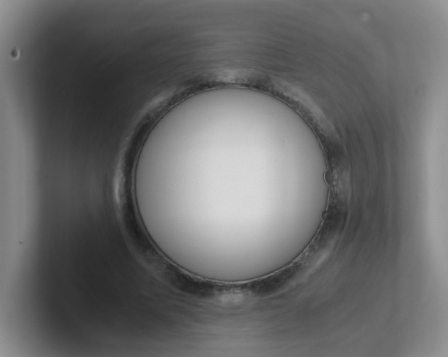 X0000102300587200808081546