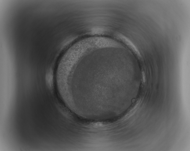 X0000102300588200808081546