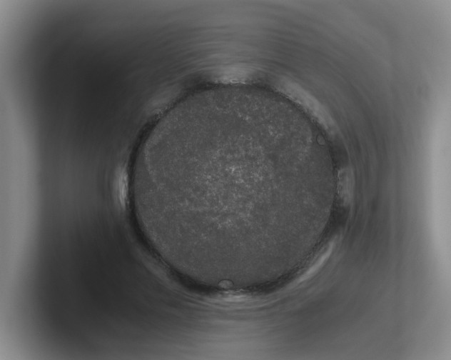 X0000102300589200808081546