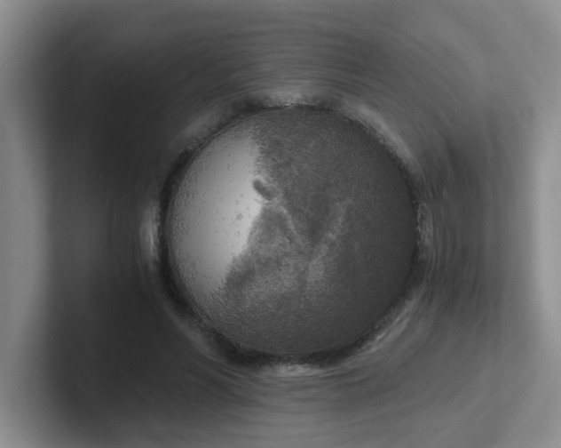 X0000102300590200808081546