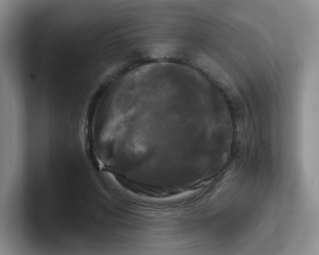 X0000102300592200808081546