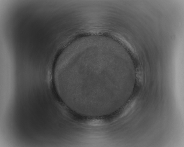 X0000102300593200808081546