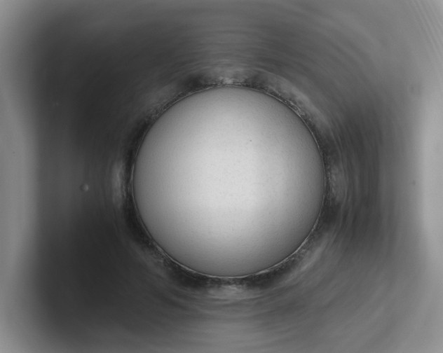 X0000102300594200808081546