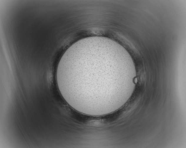 X0000102300595200808081546