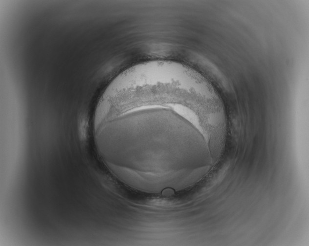 X0000102300596200808081546