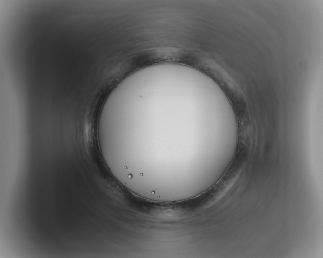 X0000102300597200808081546