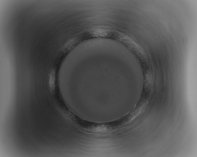 X0000102300600200808081546