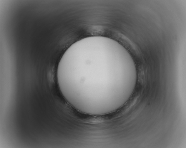 X0000102300604200808081546