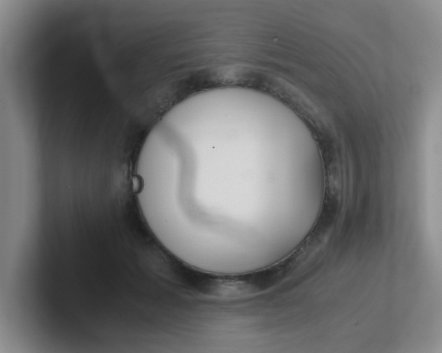 X0000102300605200808081546