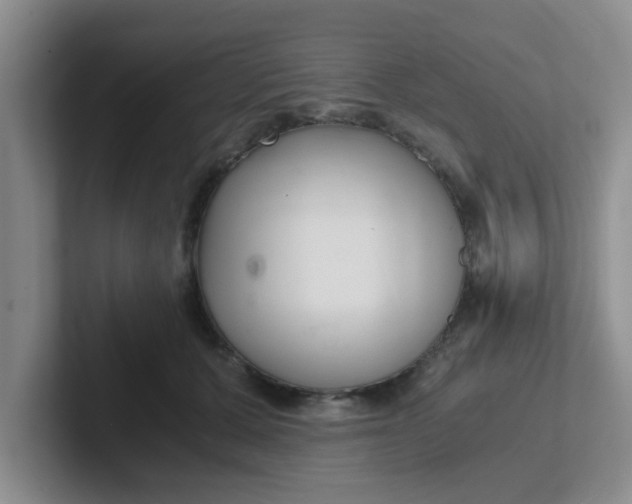 X0000102300607200808081546