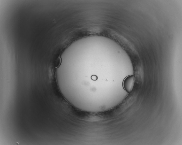 X0000102300608200808081546