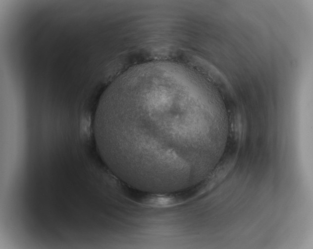 X0000102300610200808081546