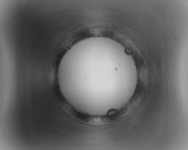 X0000102300611200808081546