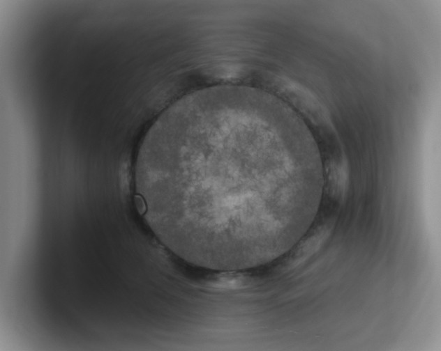 X0000102300612200808081546