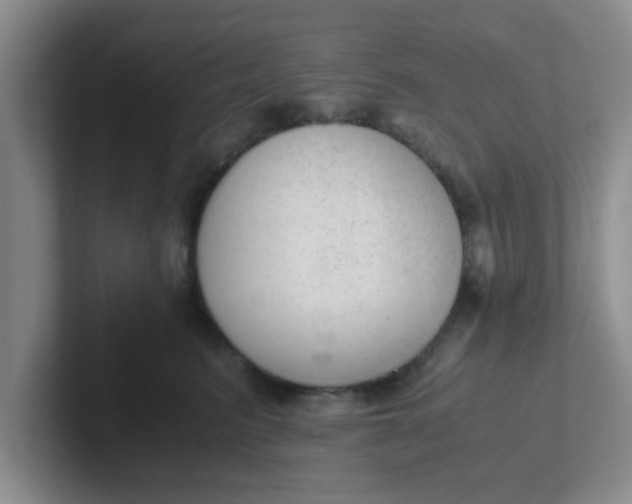 X0000102300615200808081546