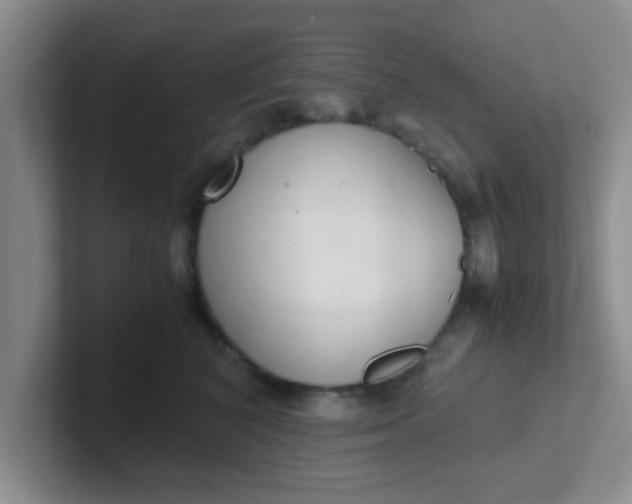 X0000102300616200808081546