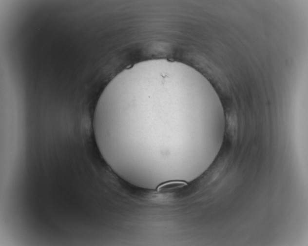 X0000102300617200808081546