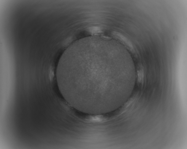 X0000102300618200808081546