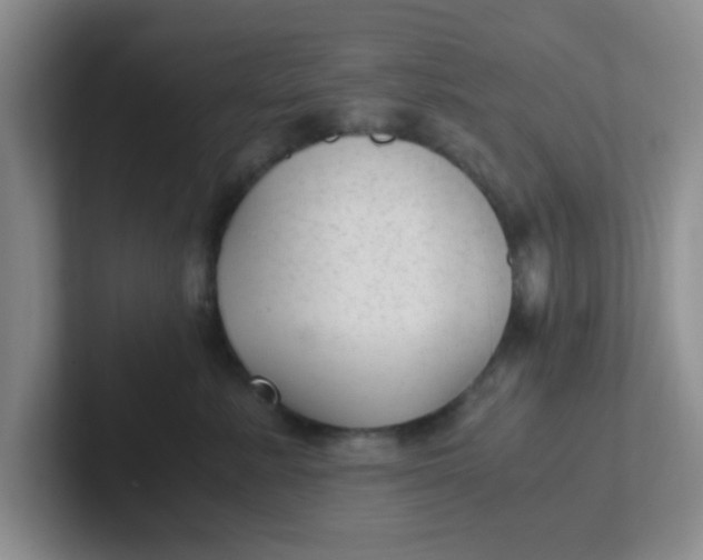 X0000102300619200808081546