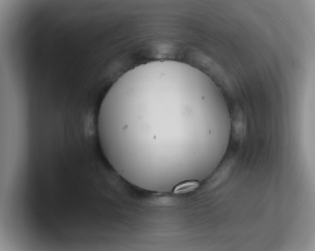 X0000102300620200808081546