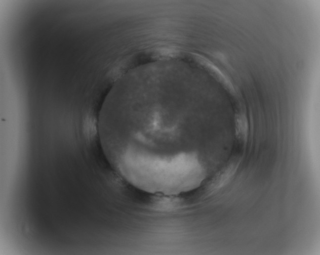 X0000102300621200808081546