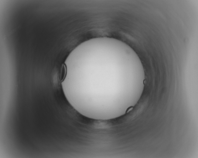 X0000102300624200808081546