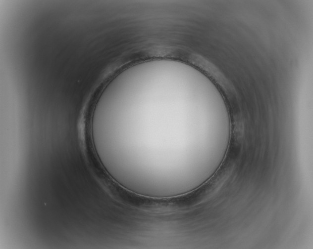 X0000102300626200808081545