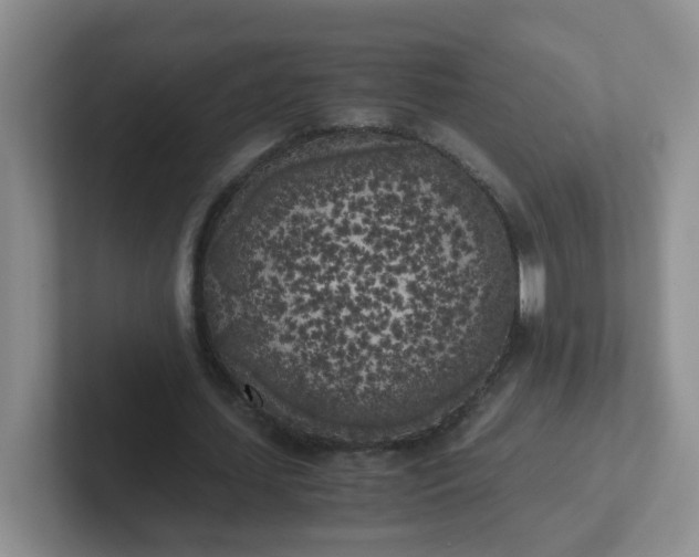 X0000102300627200808081545