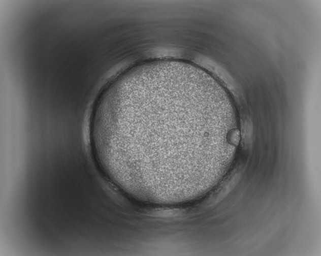 X0000102300629200808081545