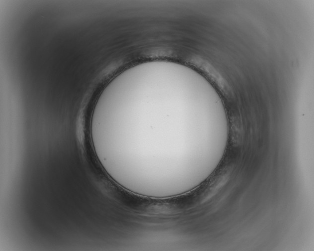 X0000102300631200808081545