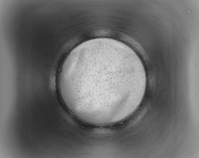 X0000102300633200808081545