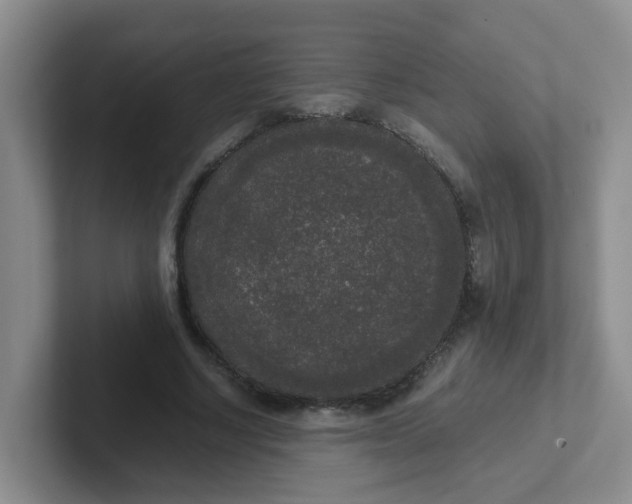 X0000102300634200808081545