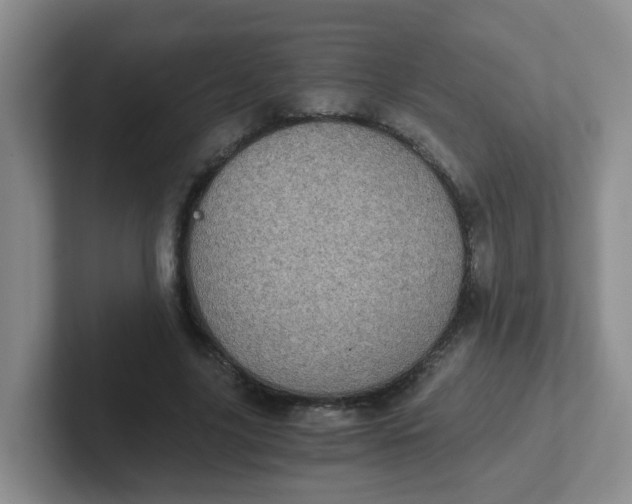 X0000102300635200808081545