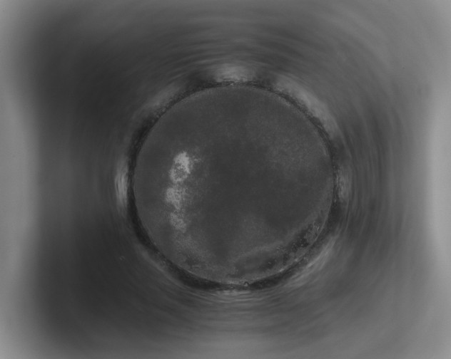 X0000102300637200808081545