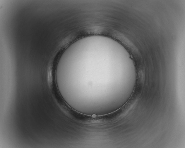 X0000102300638200808081545