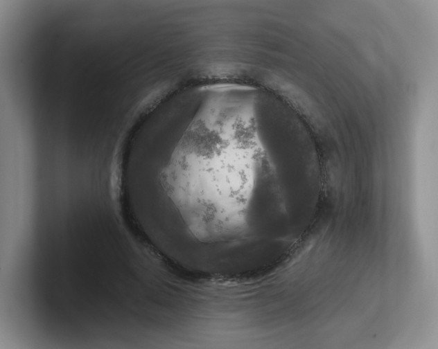 X0000102300640200808081545