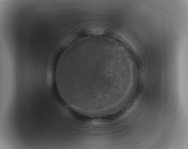 X0000102300641200808081545