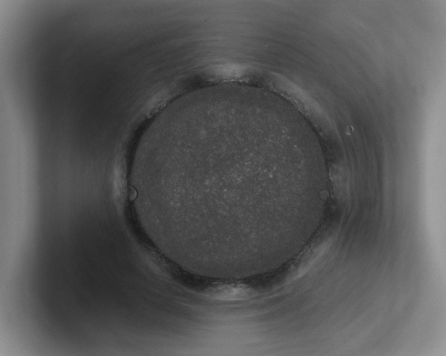 X0000102300642200808081545