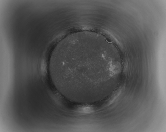 X0000102300643200808081545