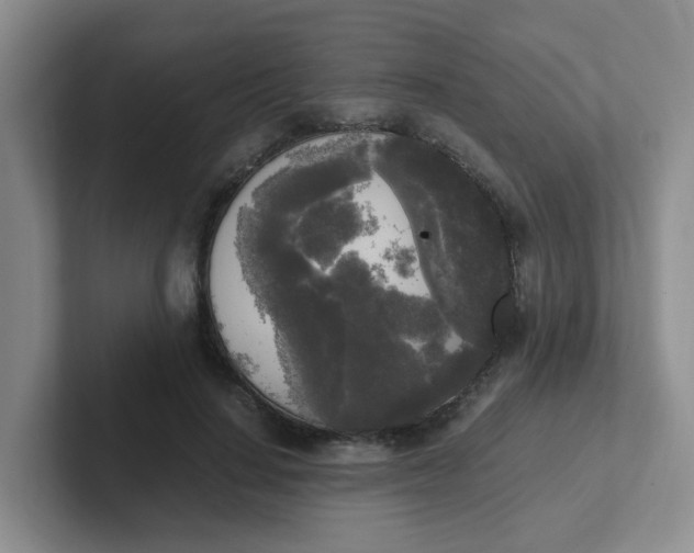 X0000102300644200808081545