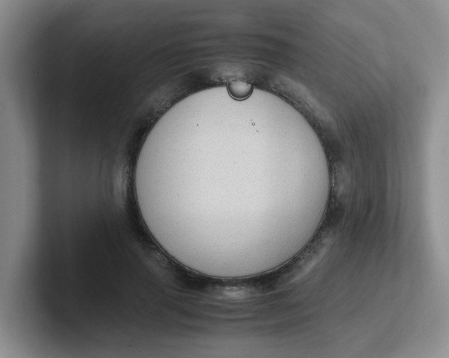 X0000102300645200808081545